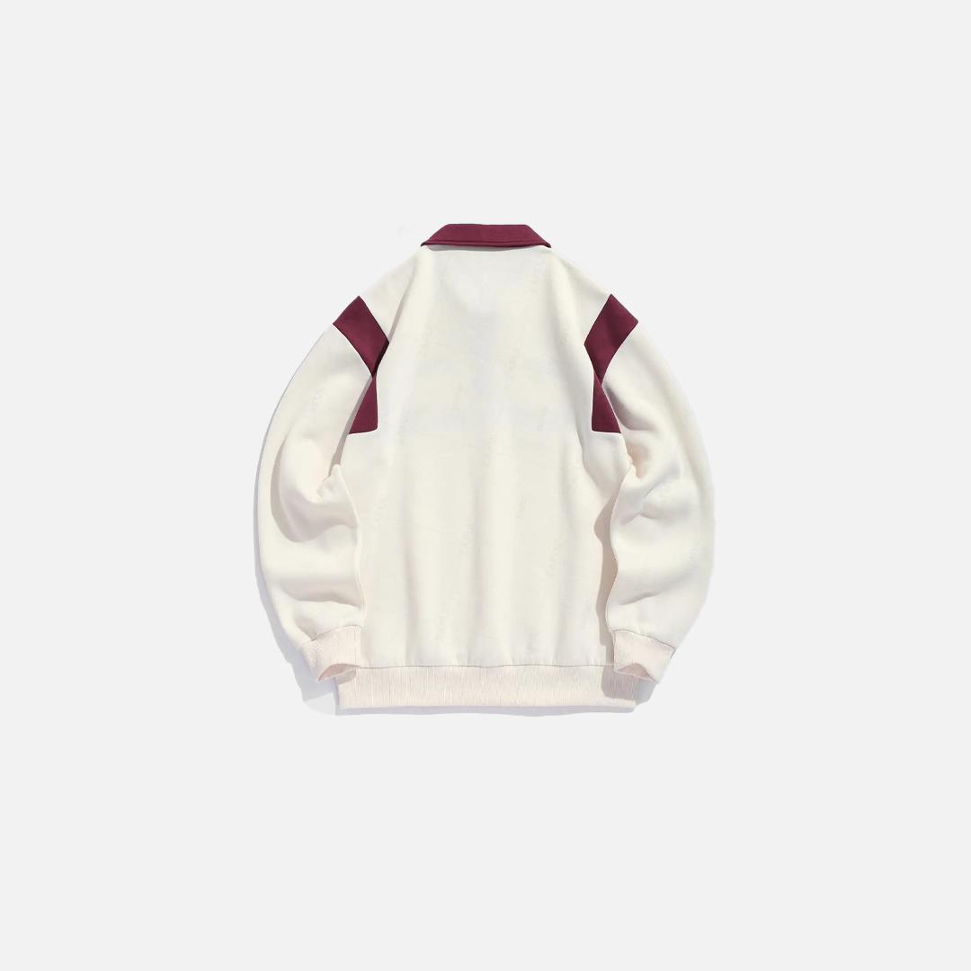 Colorblock Graphic Fleece Lined Polo Sweatshirt