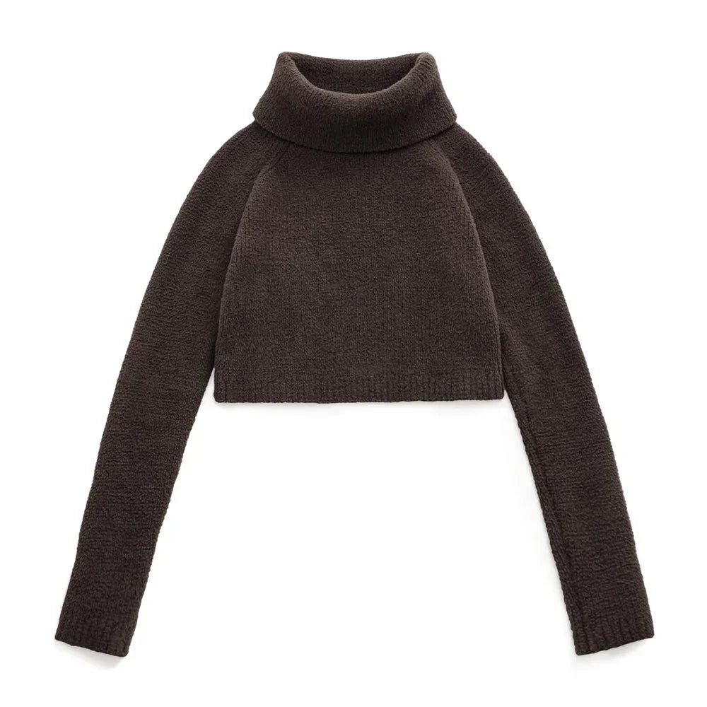 Cozy Solid Color Turtleneck Sweater